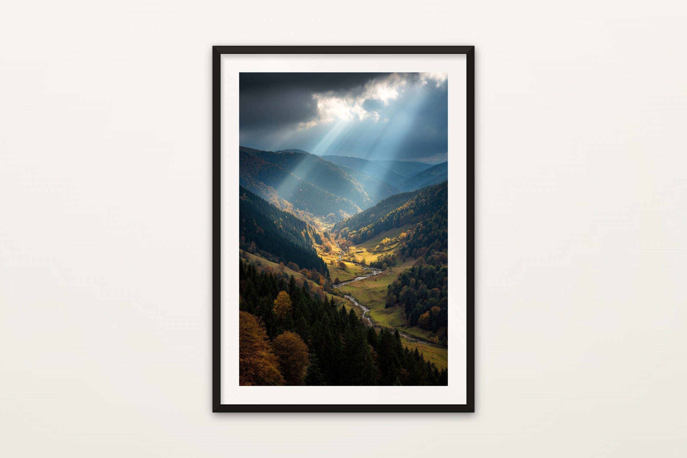 Black Forest Valley