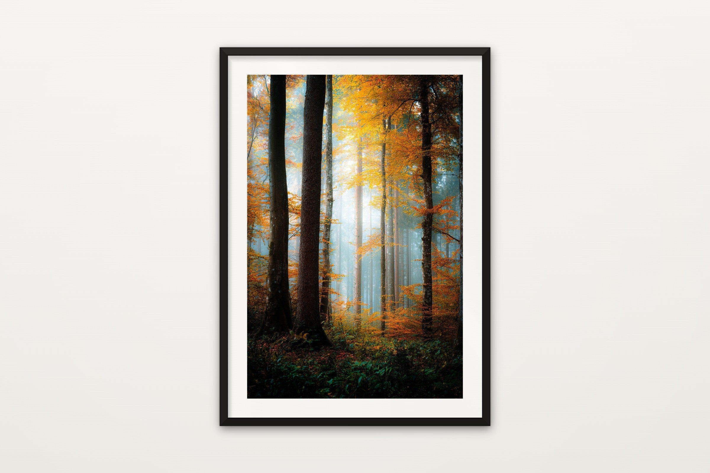 Misty Autumn Forest