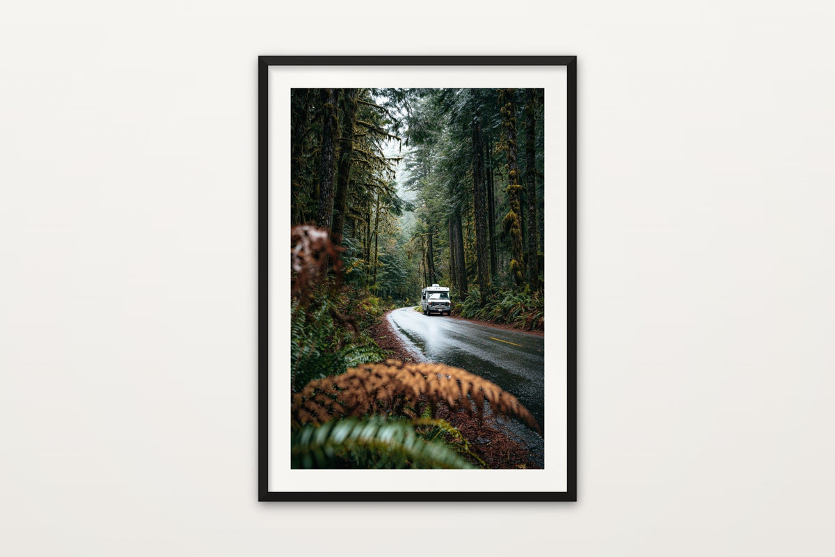 Hoh Rainforest Road wall art print – A campervan on a rainforest road in Olympic National Park