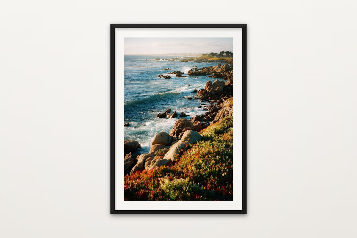 Monterey Bay wall art print – Wildflowers along the rocky shoreline of Monterey Bay, California