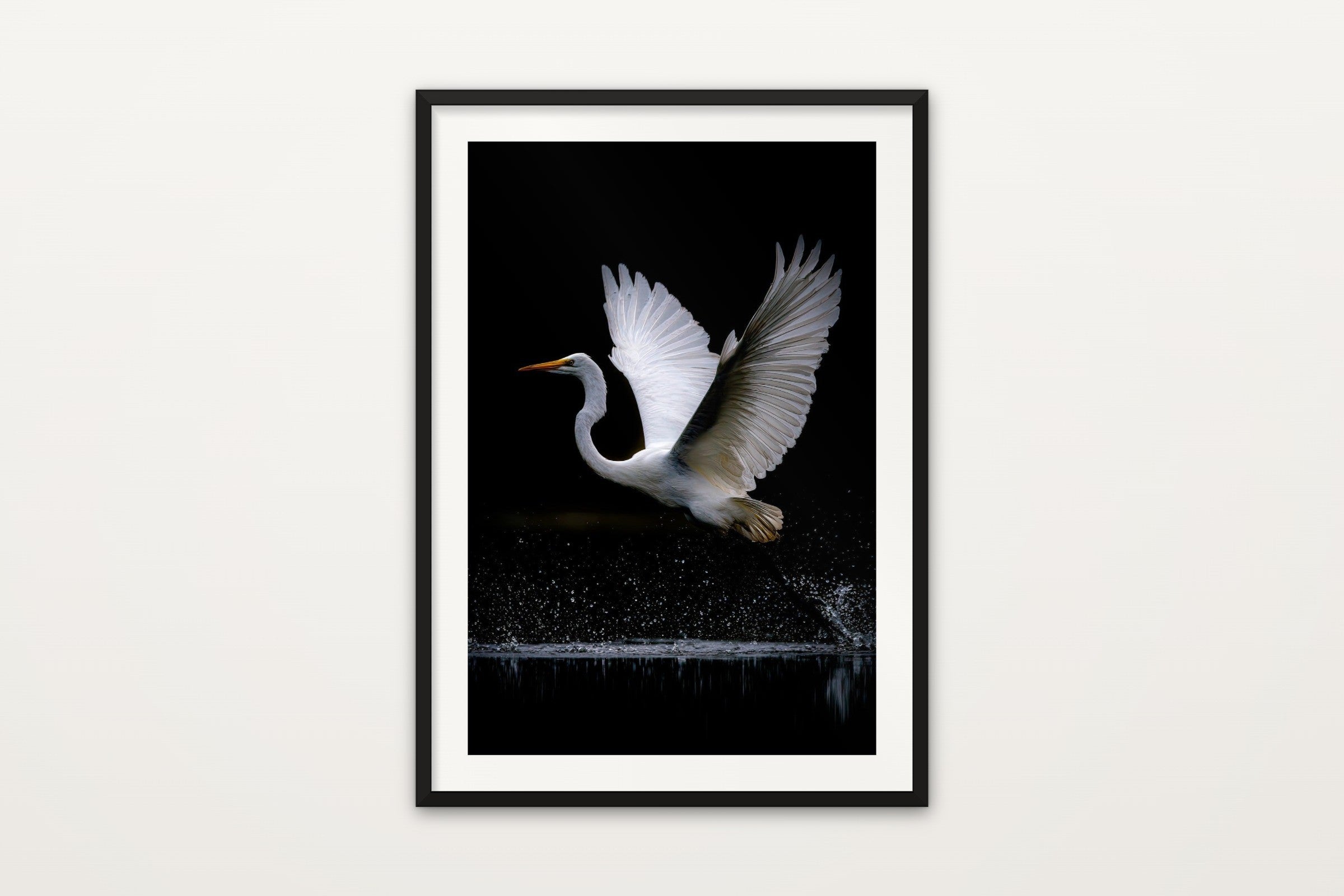 White Bird