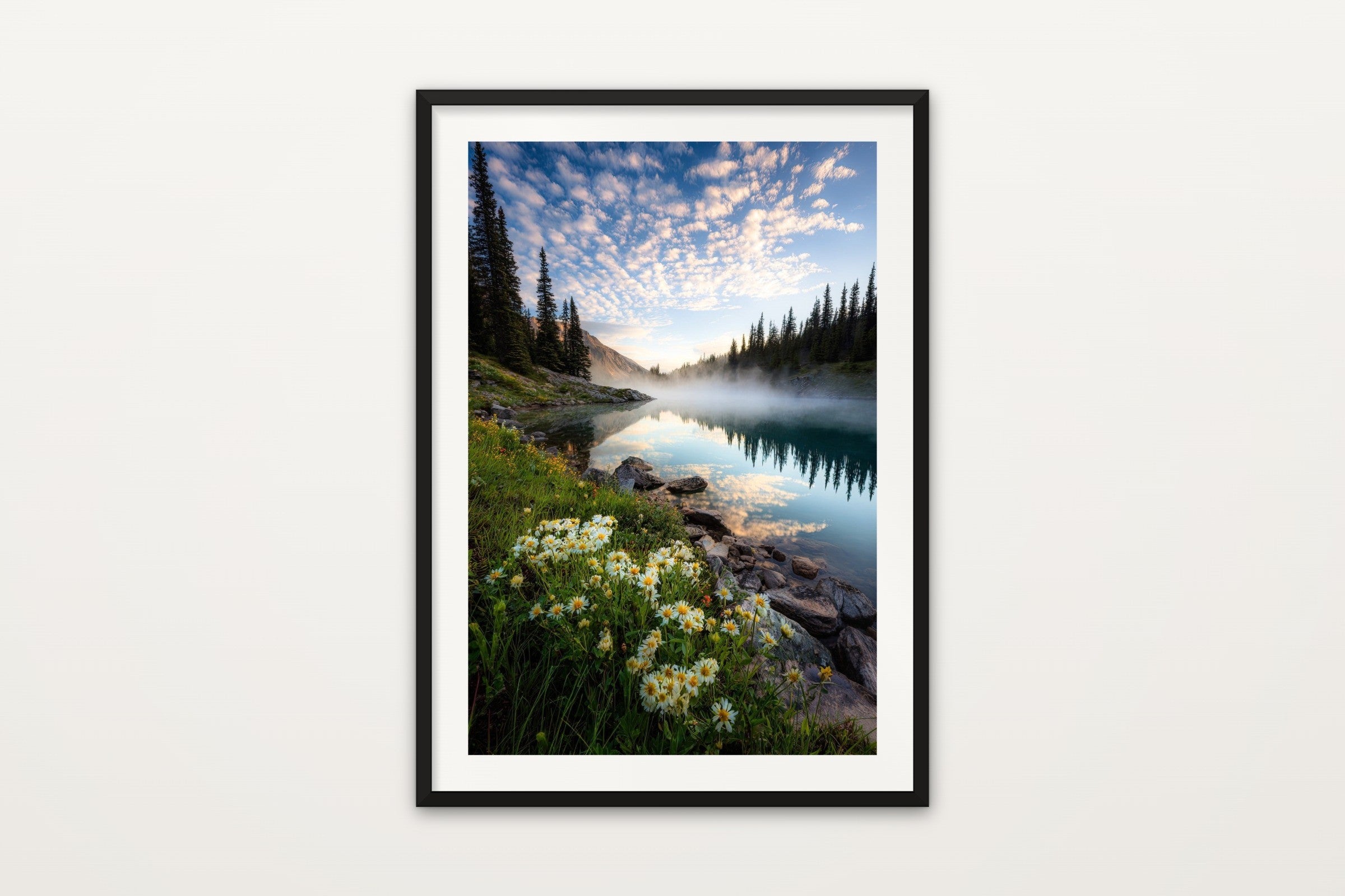 Banff Alpine Wildflowers