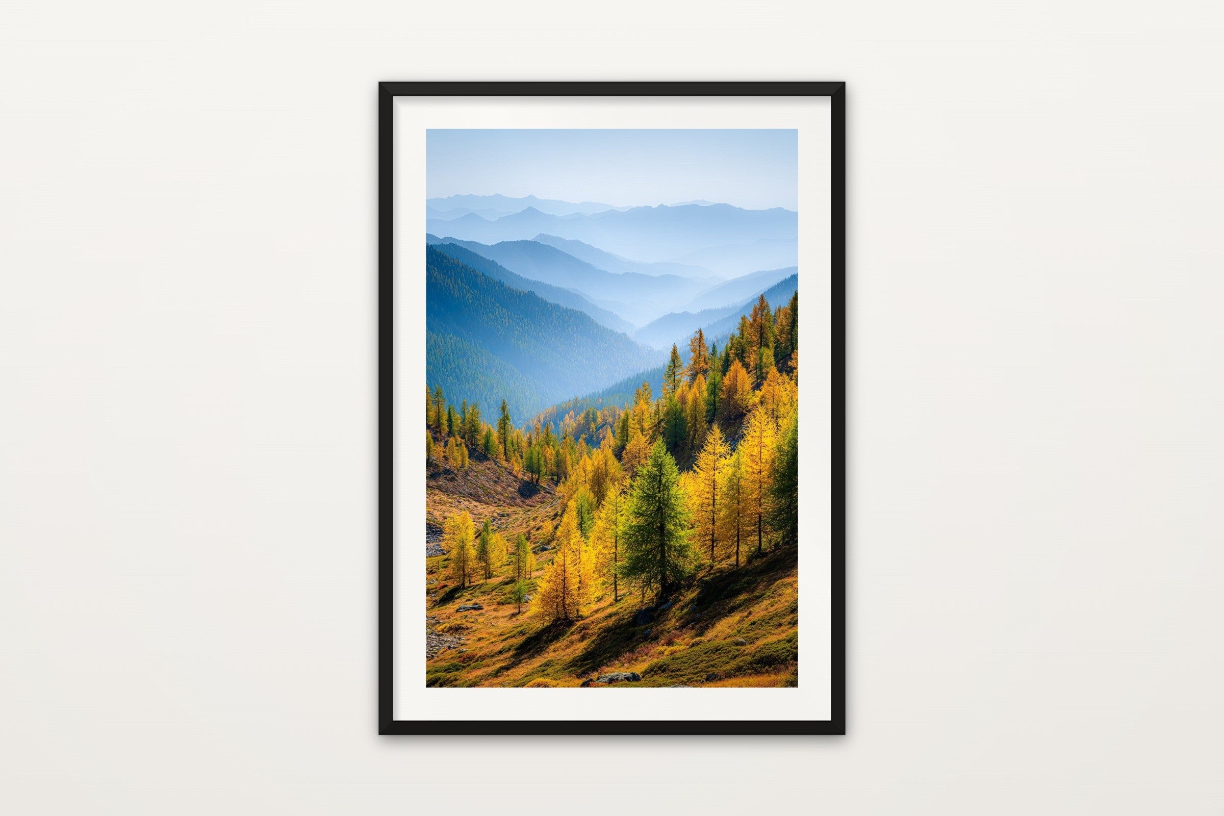 Larch and Blue Mountains
