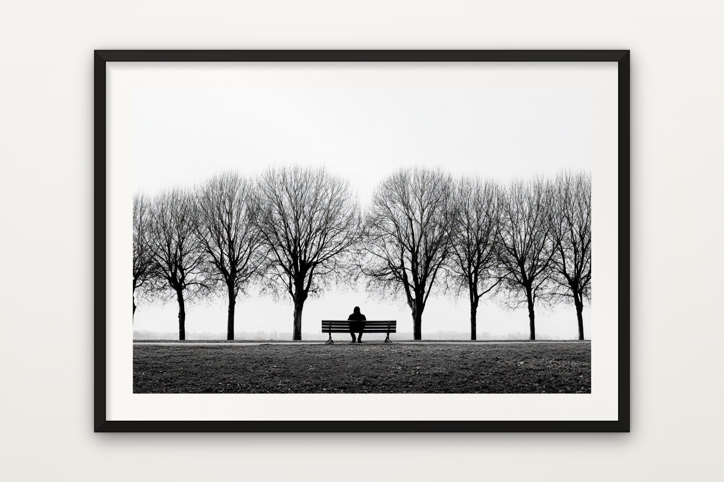 Bench Between Trees