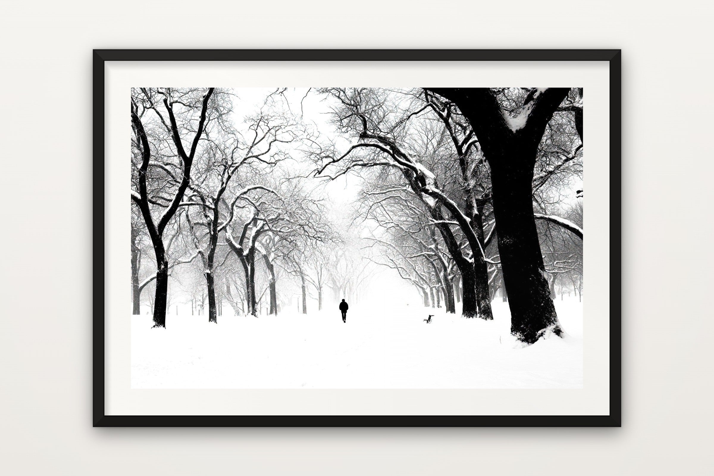 Park Avenue in Snow