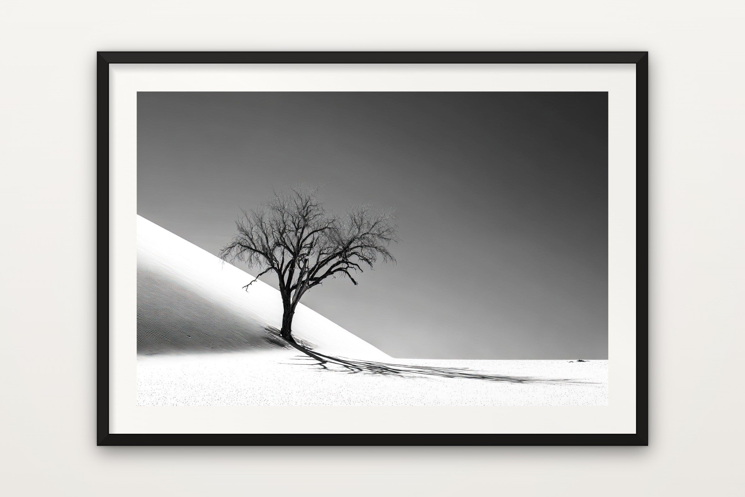 Camelthorn in Monochrome