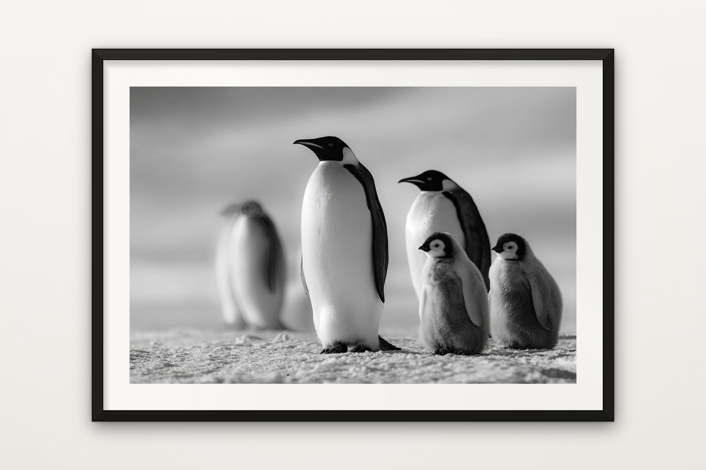 Penguin Family