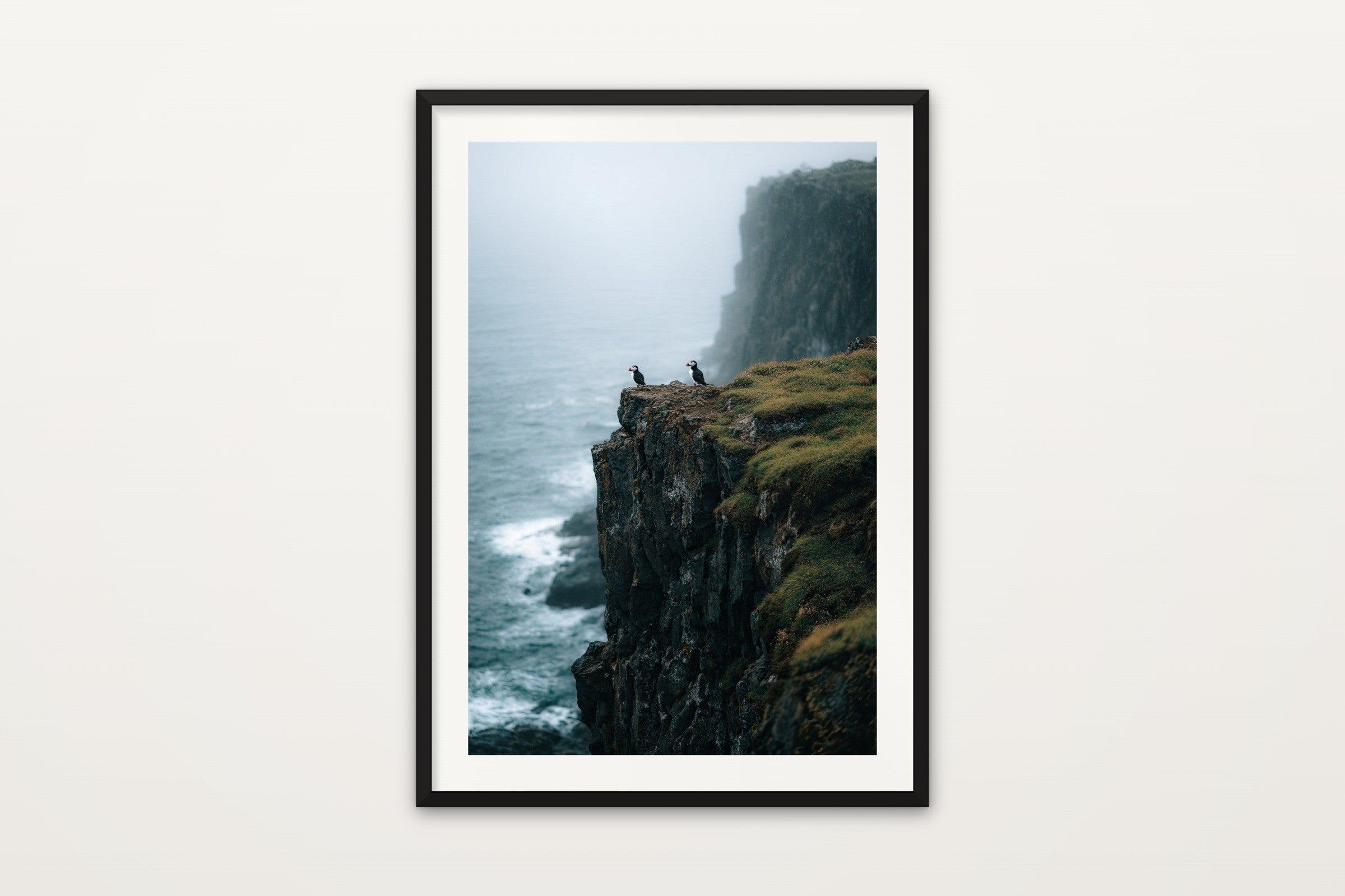 Iceland Puffins II