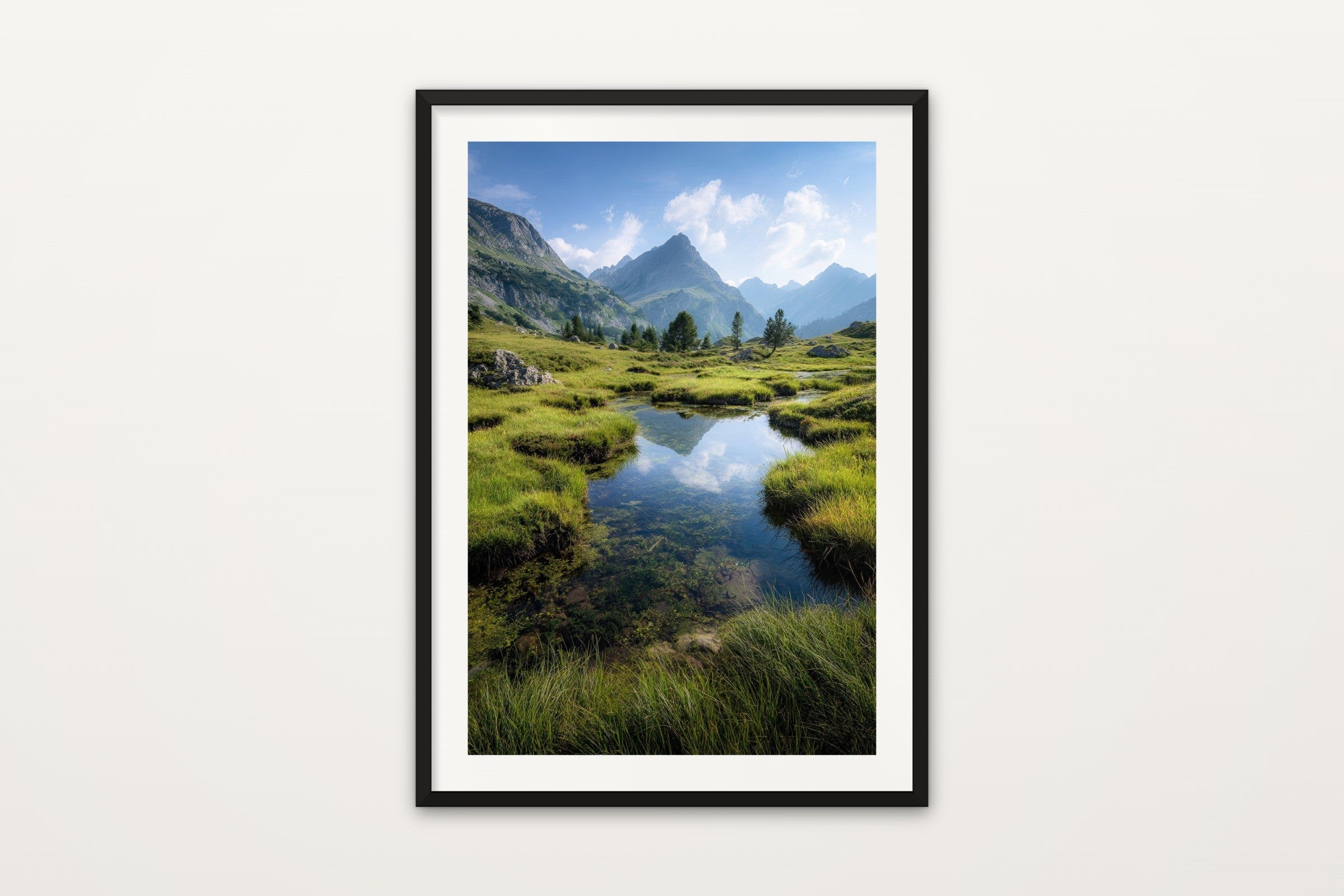 Alpine Meadow Pool