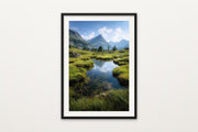 Alpine Meadow Pool