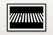 Zebra Crossing