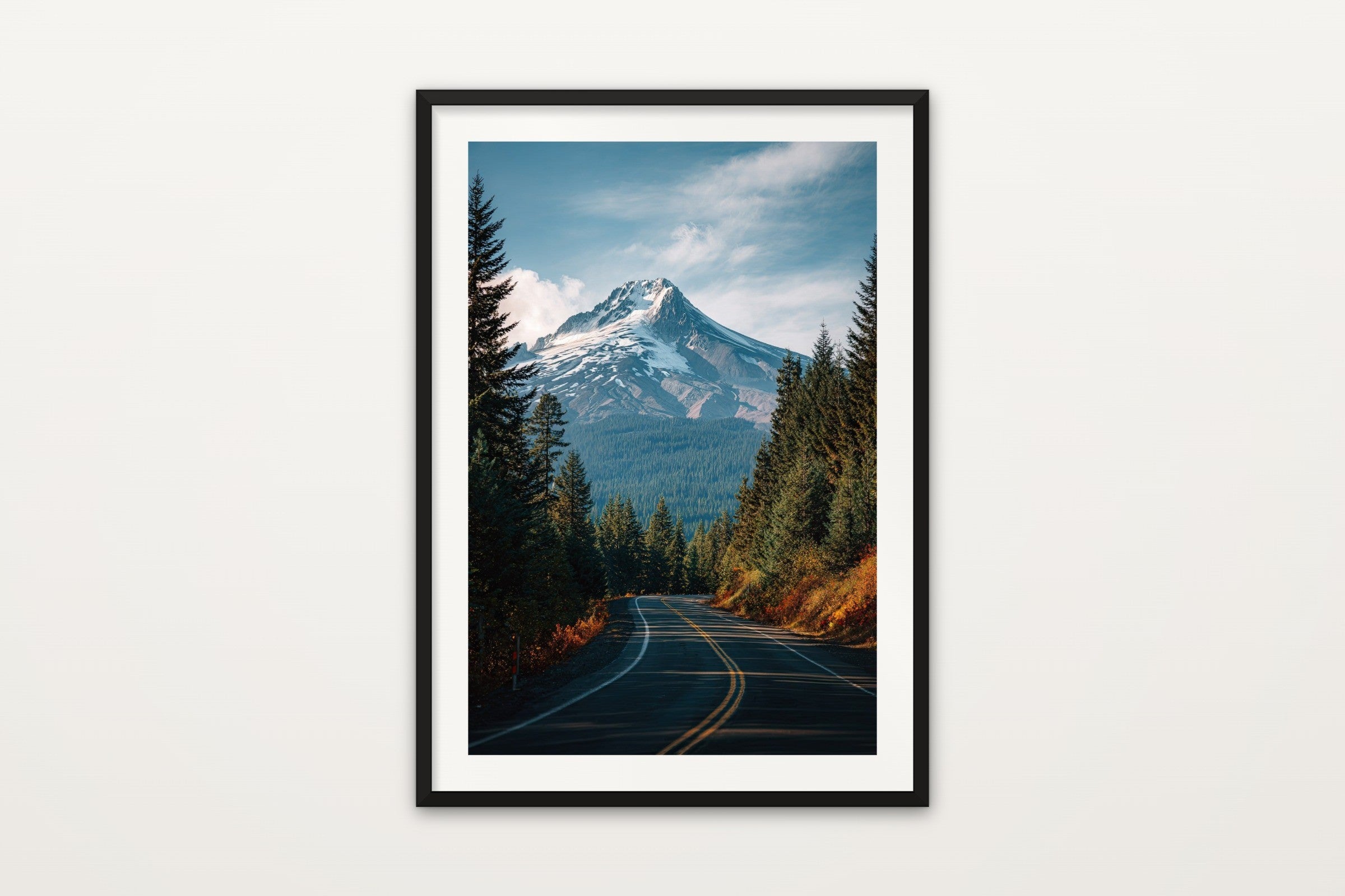 Mount Hood Forest Road