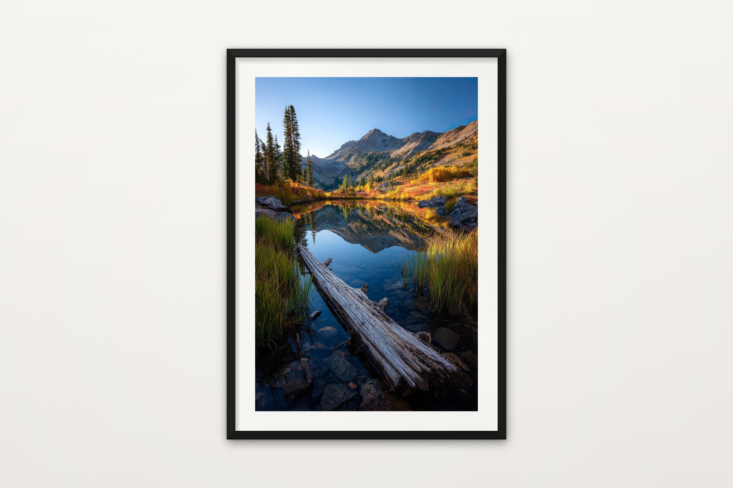 Autumn Alpine Pond