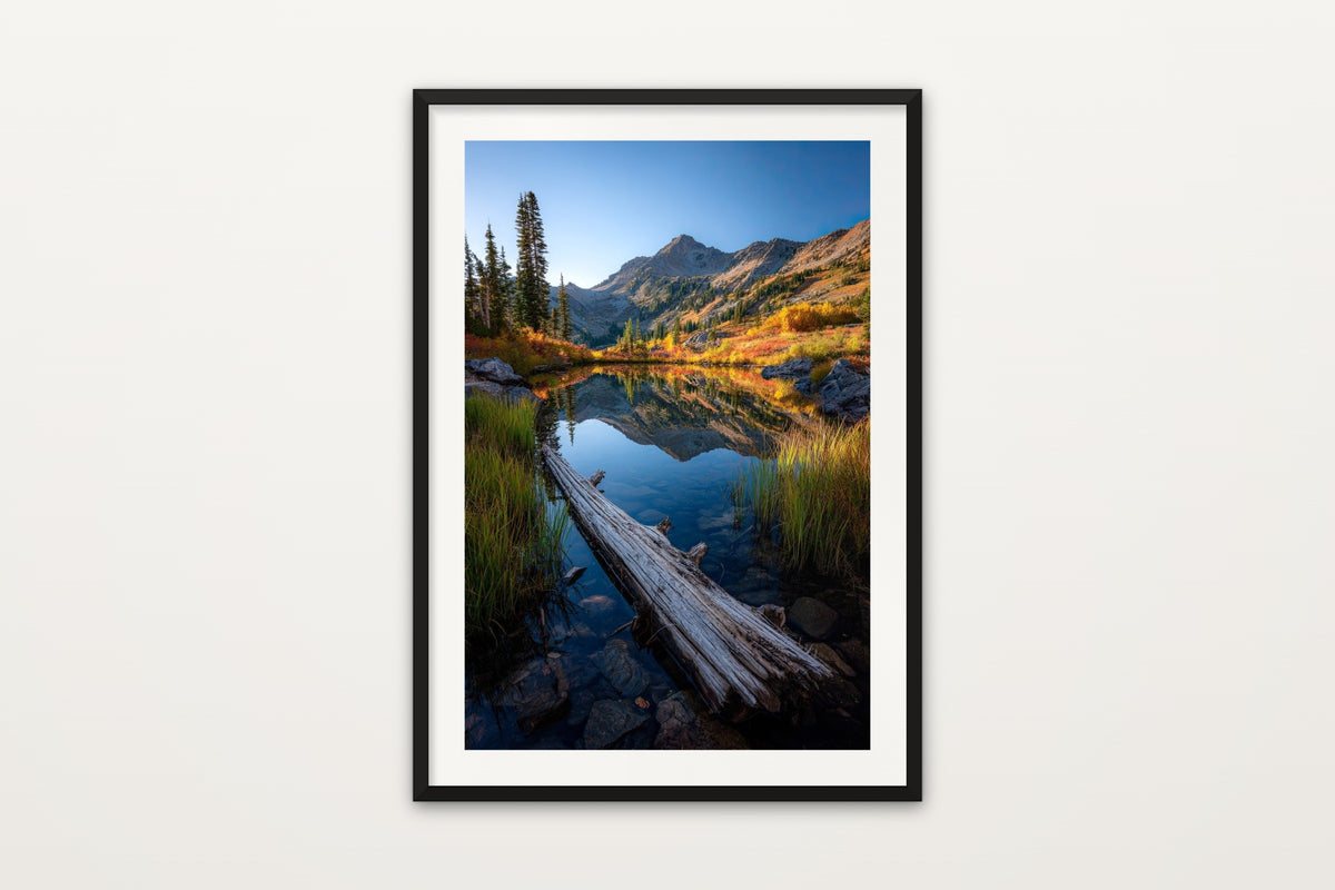 Autumn Alpine Pond wall art print – A log reflected in an autumn alpine pond, Colorado Rockies