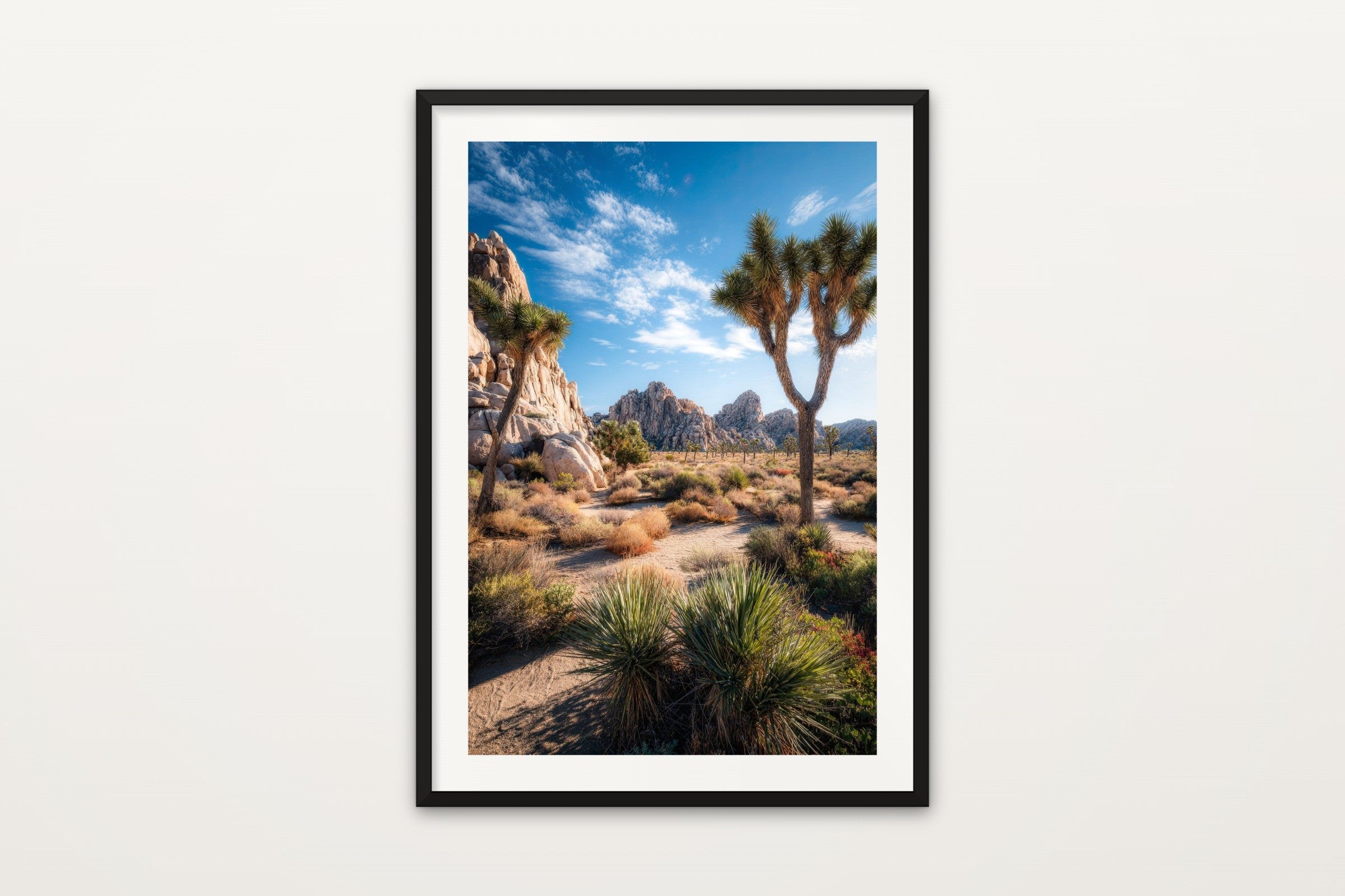 Joshua Tree