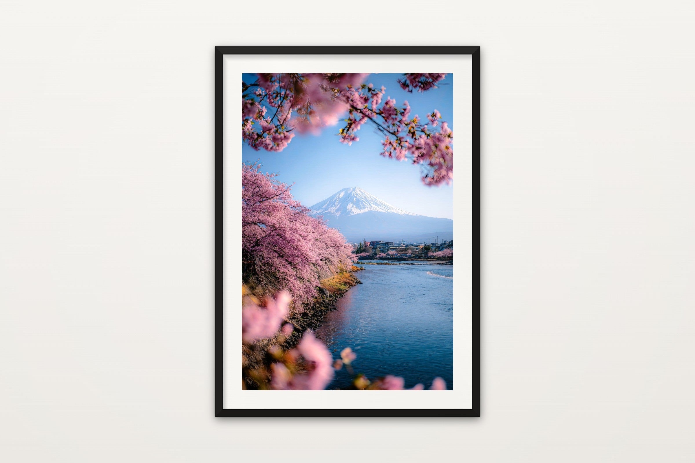 Fuji and Sakura