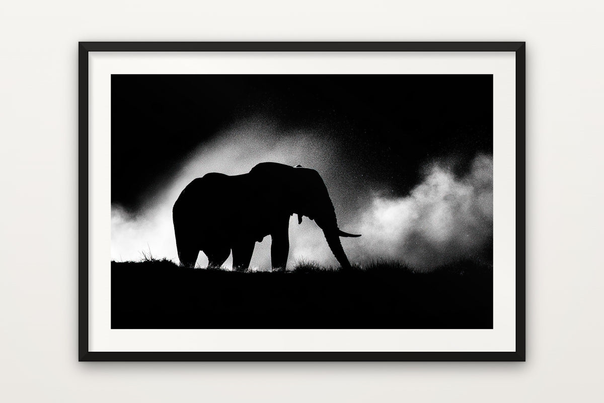 Silhouette in the Dust