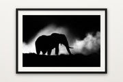 Silhouette in the Dust