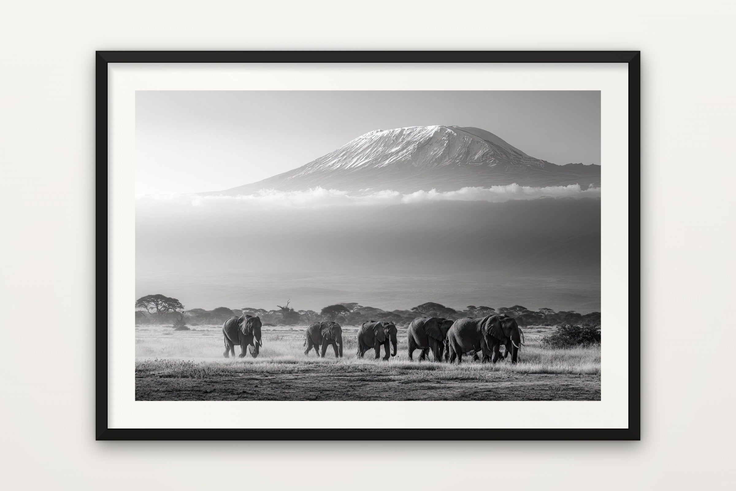 Elephants Below Kilimanjaro