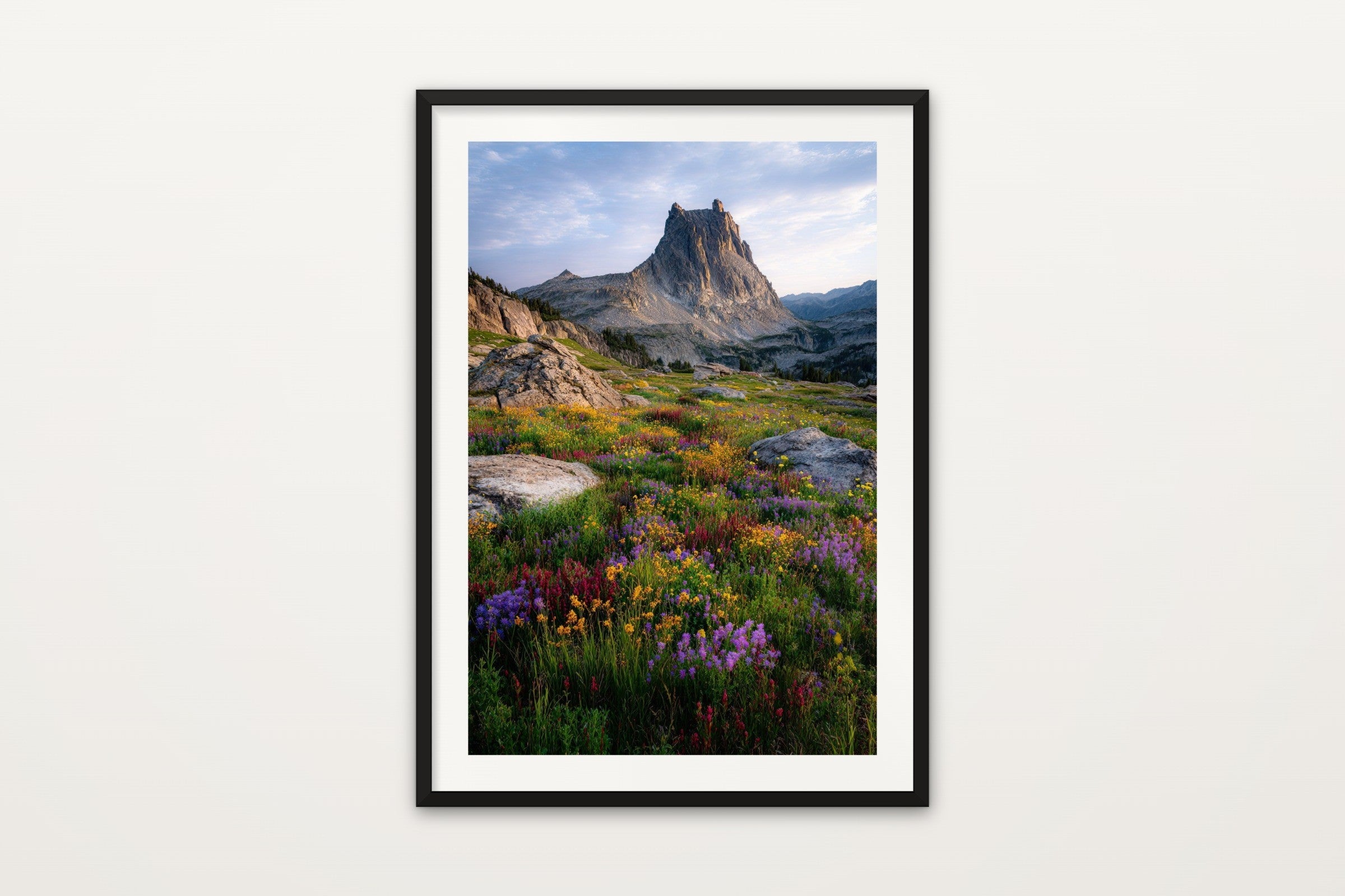 Wildflowers Below Ritter Peak