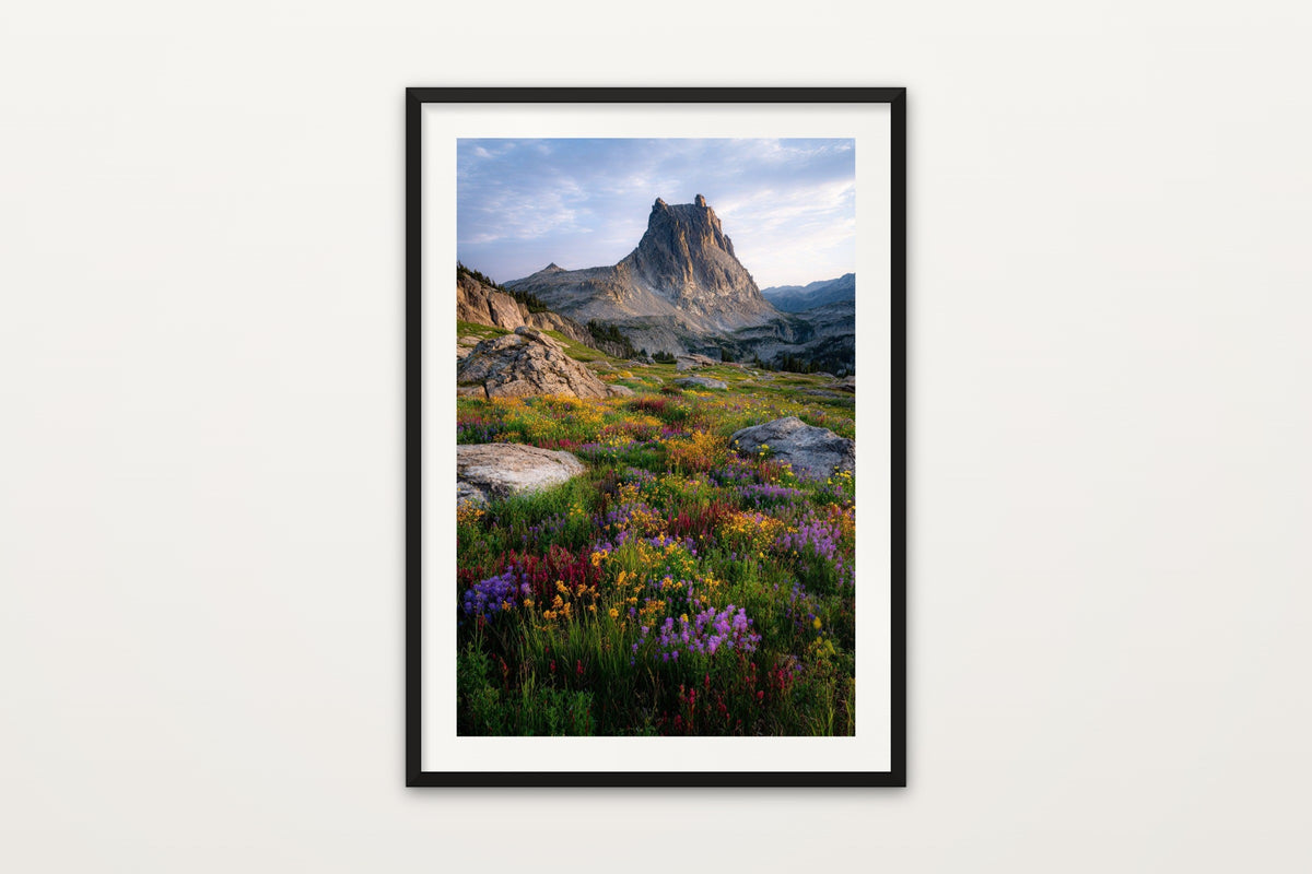 Wildflowers Below Ritter Peak wall art print – An alpine wildflower meadow below Ritter Peak, Sierra Nevada, California