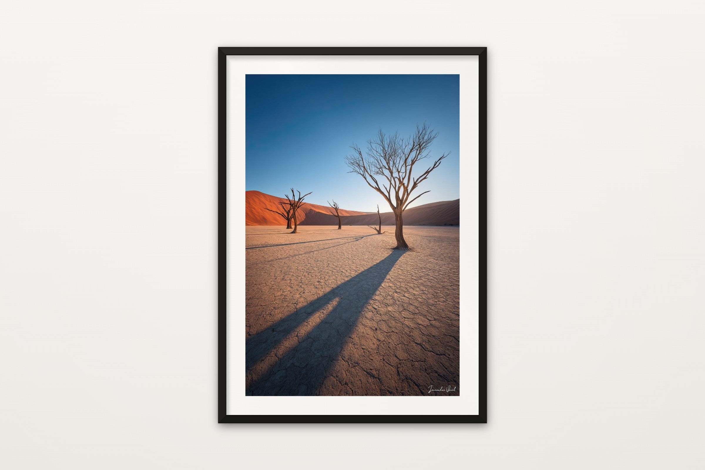 Deadvlei Dead Trees