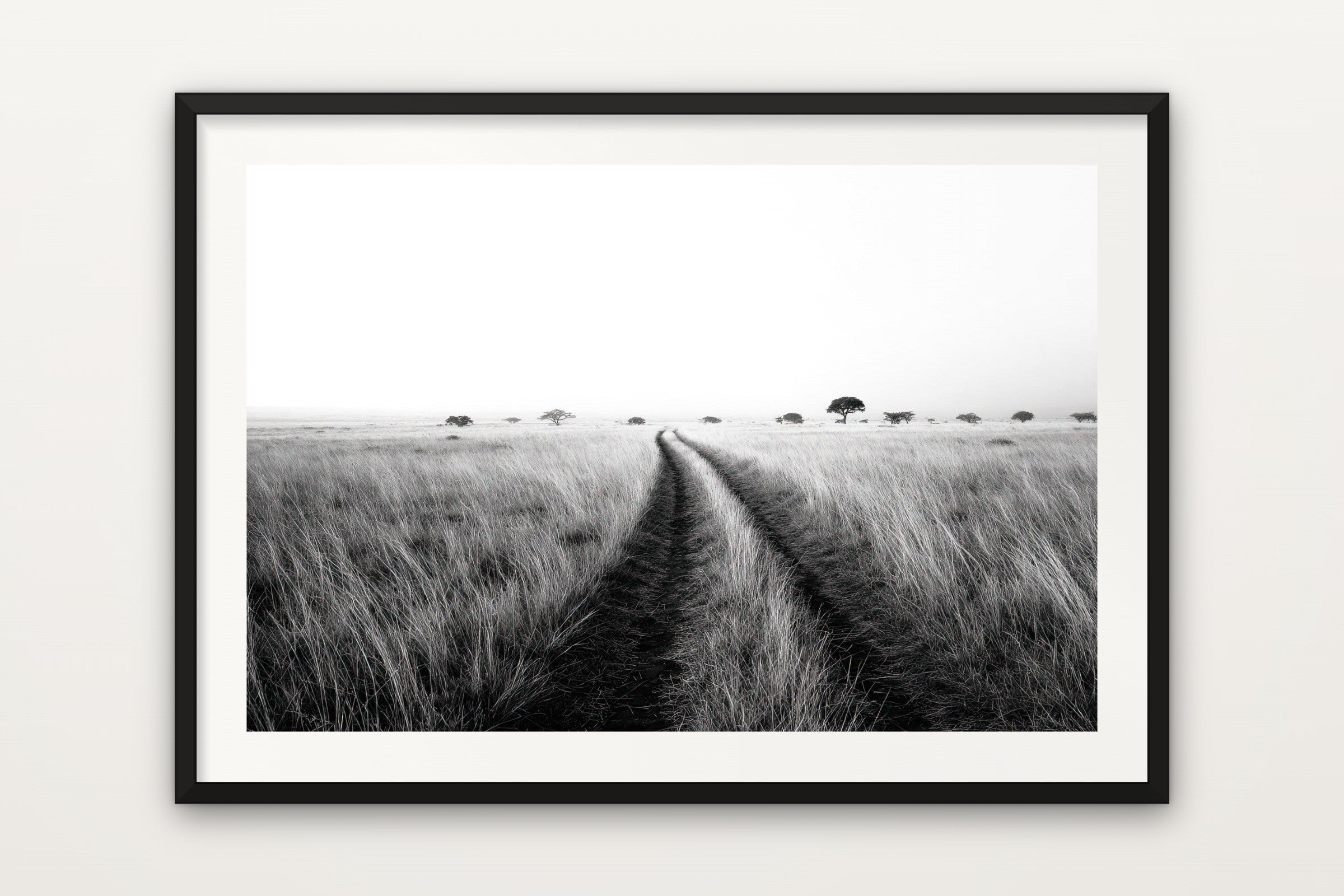Safari Track