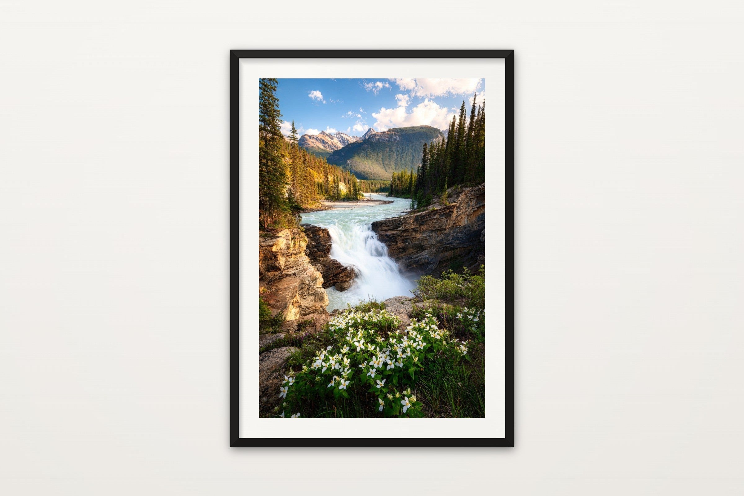 Athabasca Falls