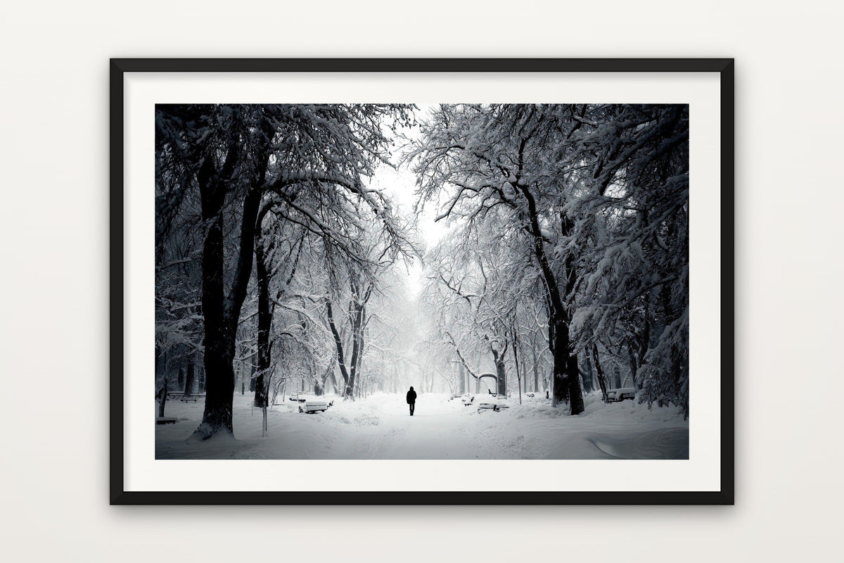 Figure in Winter Park wall art print – A lone figure in a snow-covered winter park, in black and white
