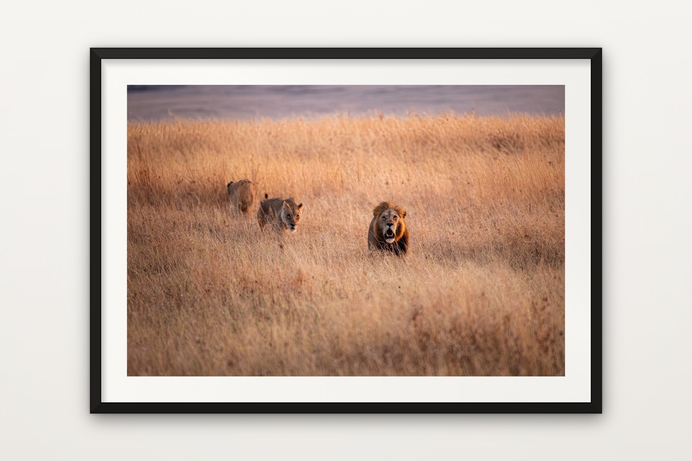 The Hunt