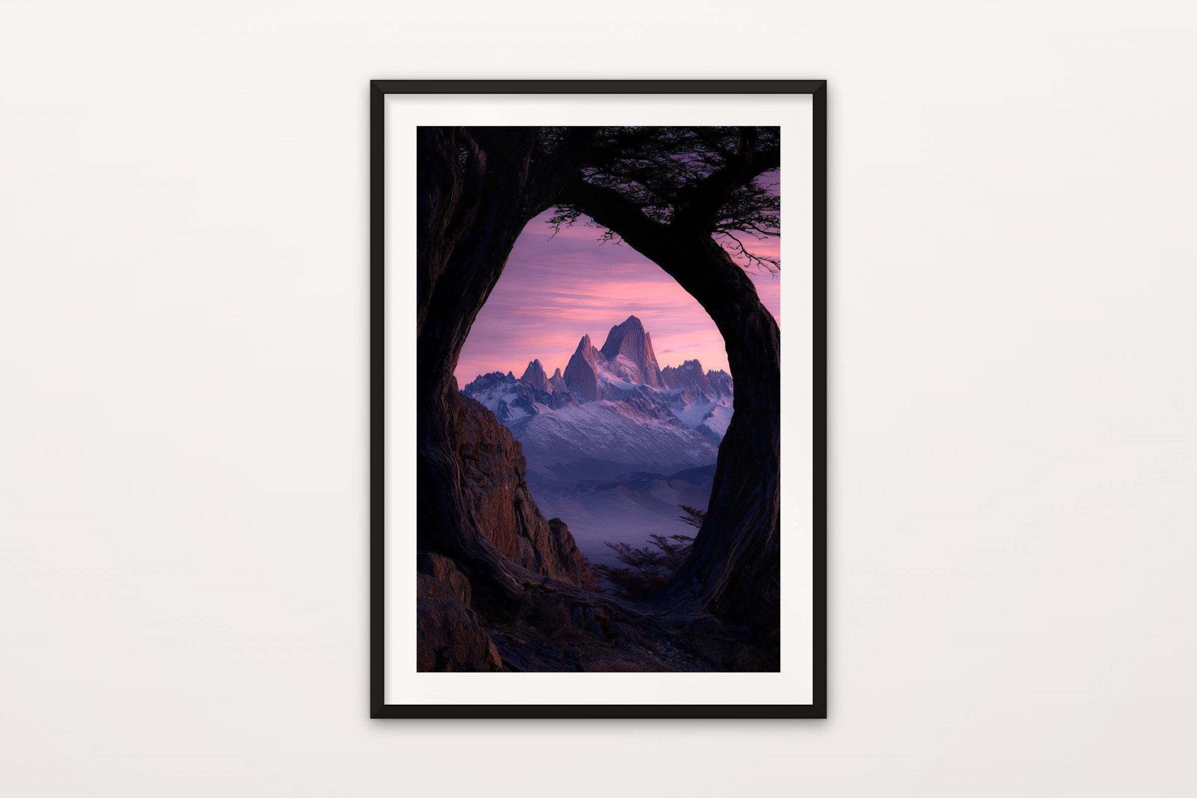 Fitz Roy in Rose