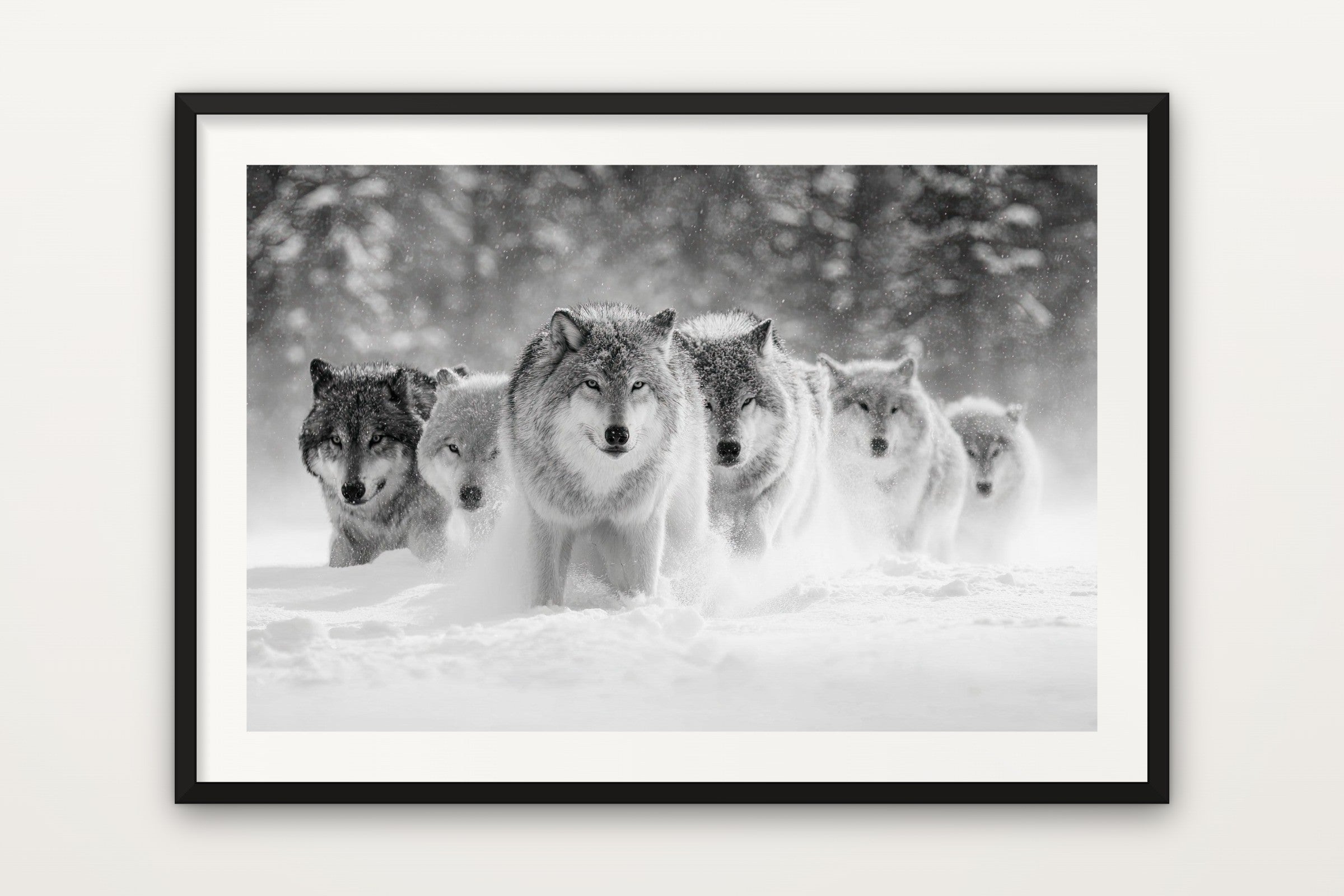 Wolf Pack