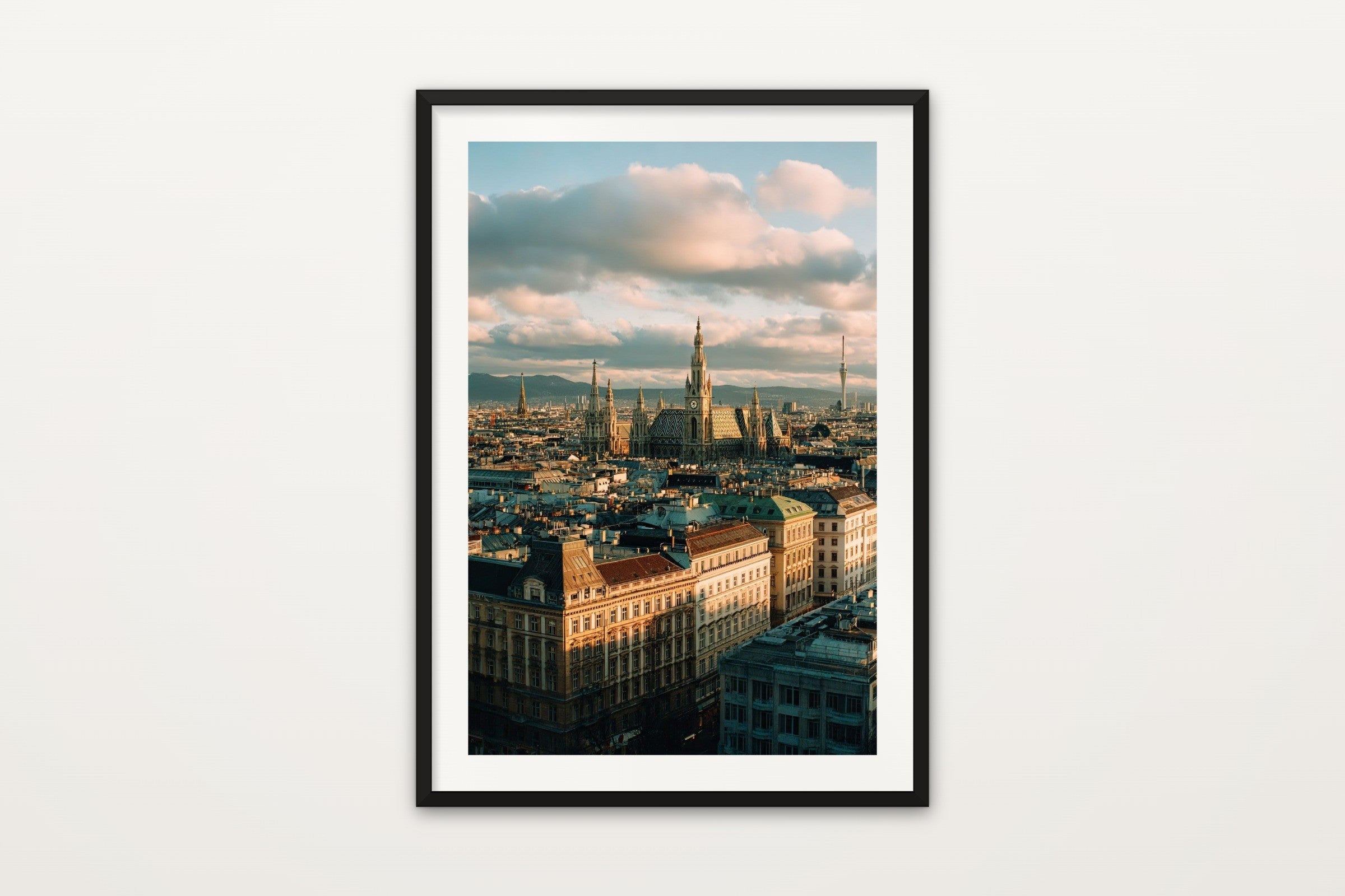 Vienna from Above