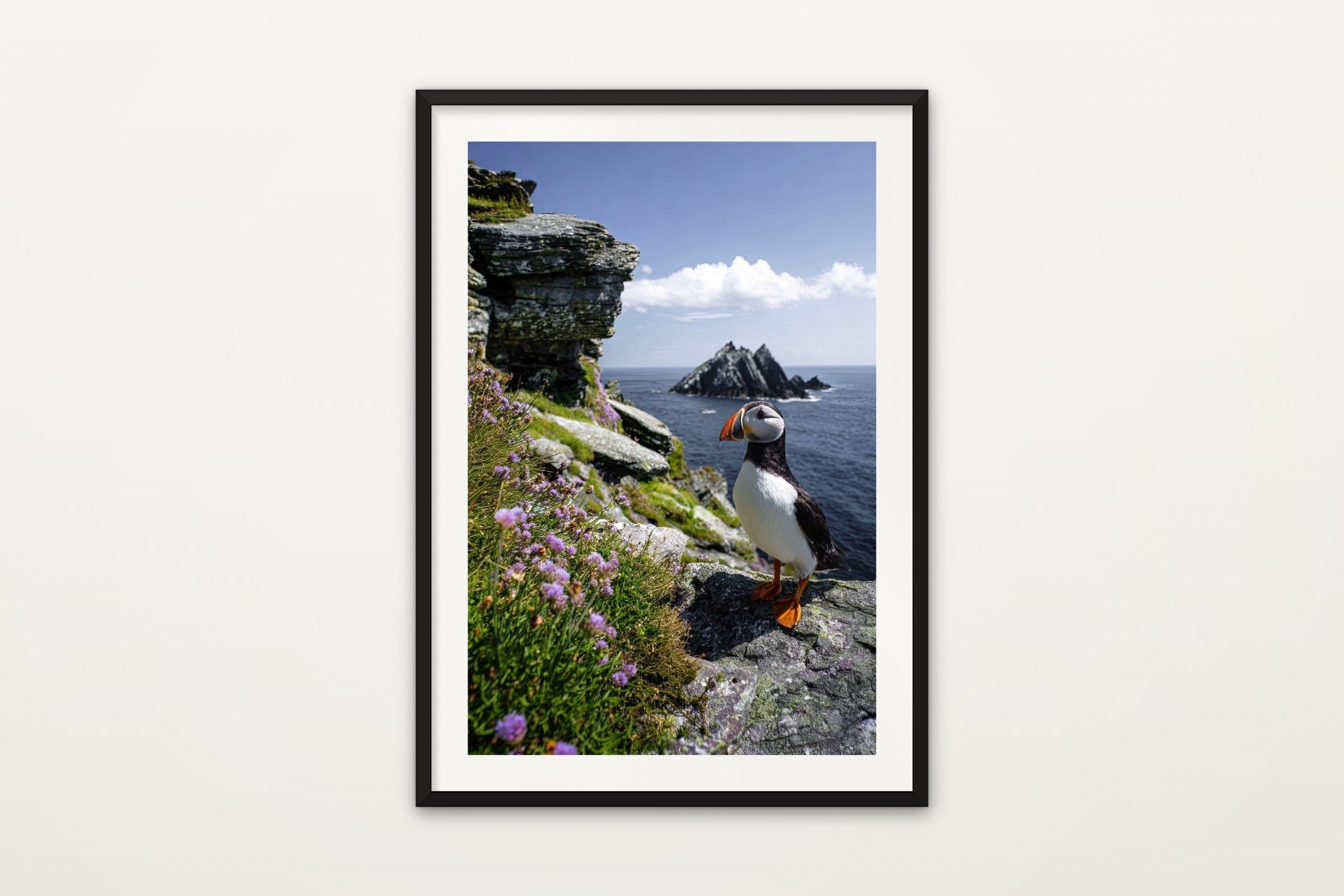 Cliffside Puffin