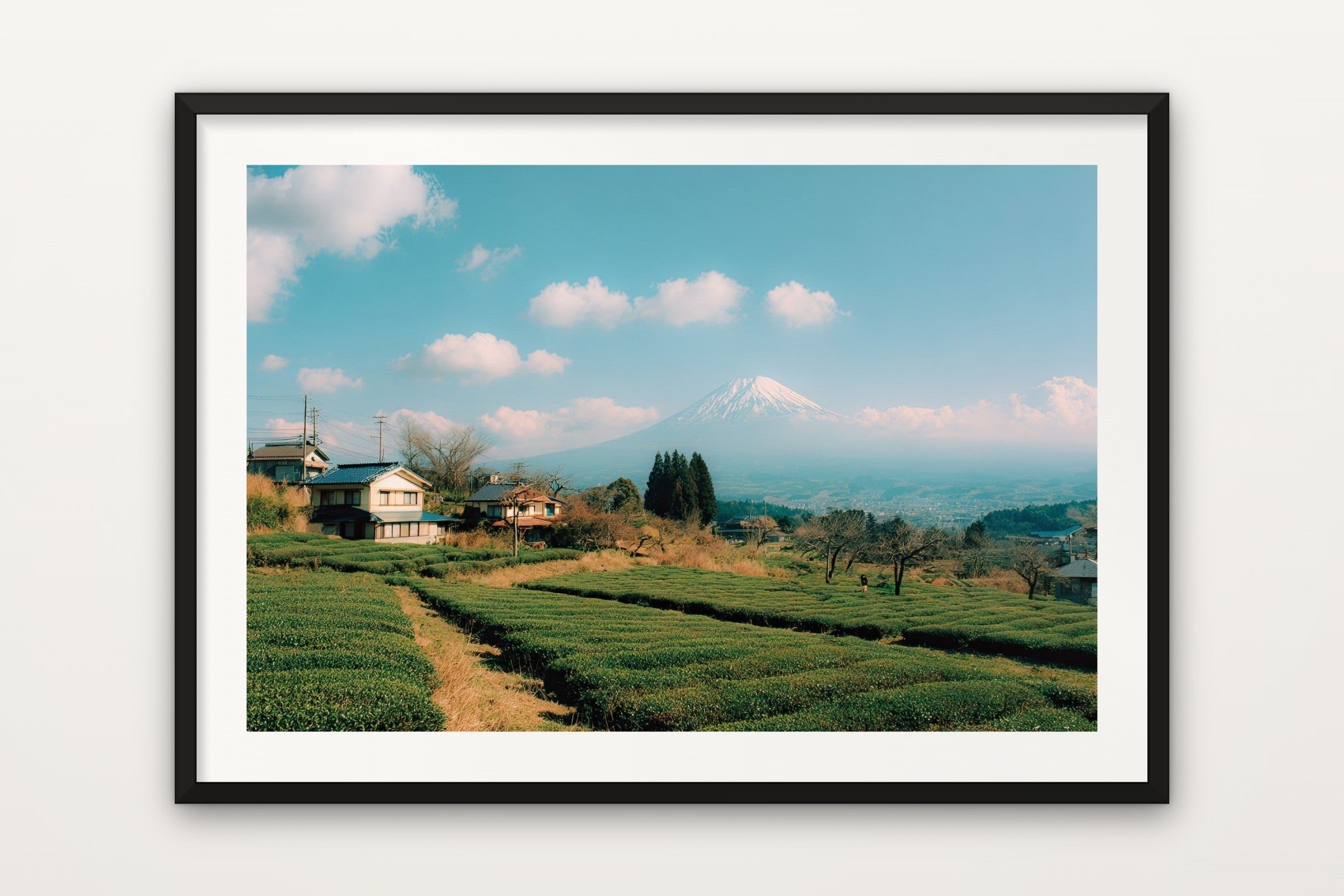 Fuji over the Tea Fields