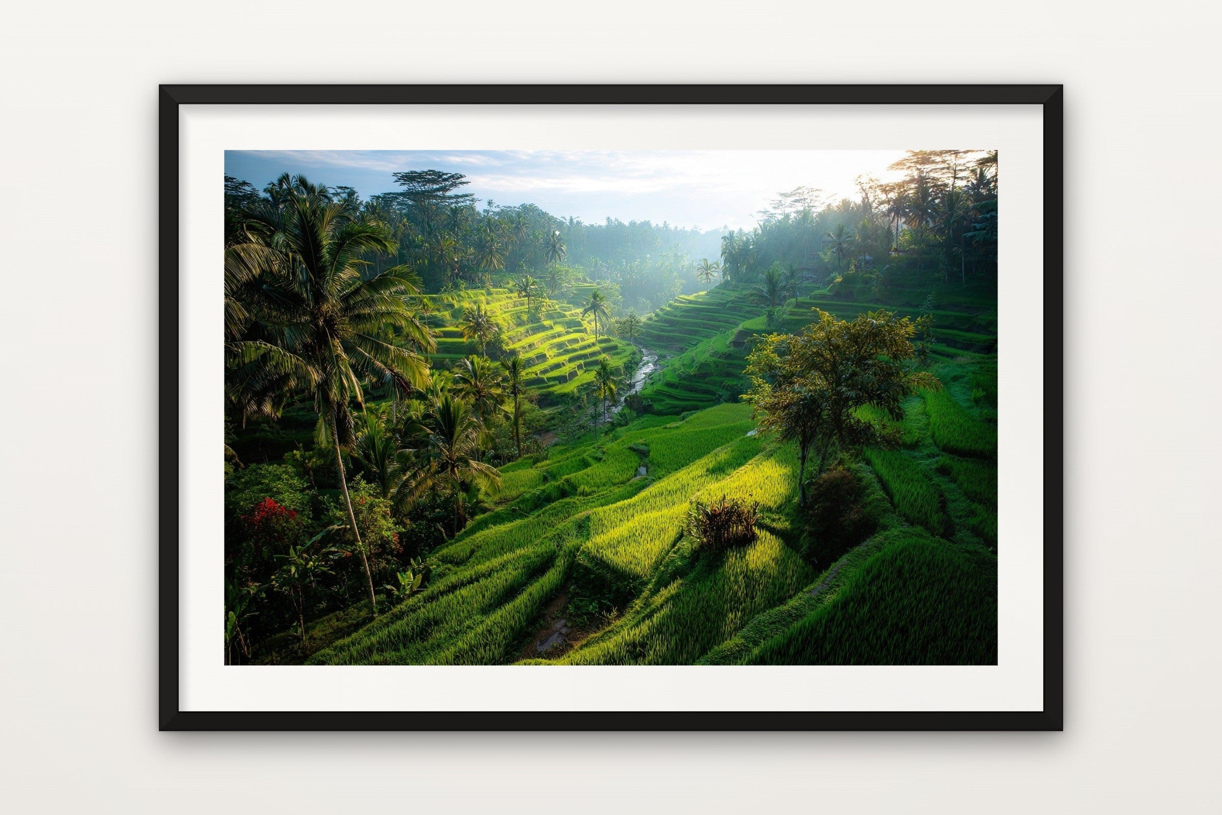 Ubud Rice Terraces
