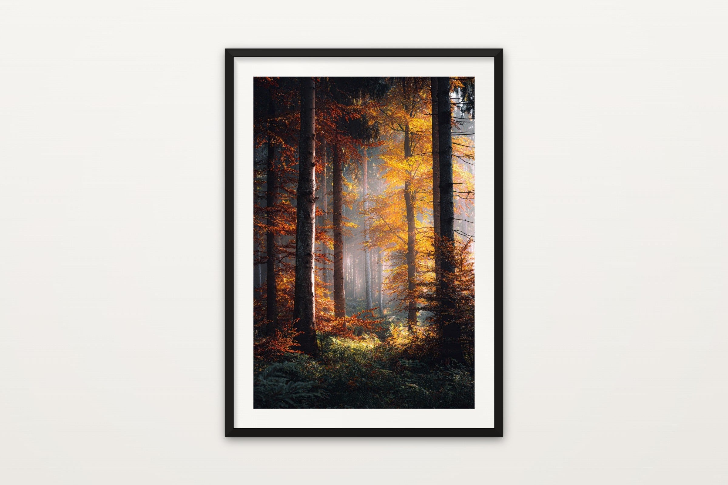 Autumn Sunbeam