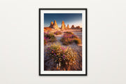 Trona Super Bloom