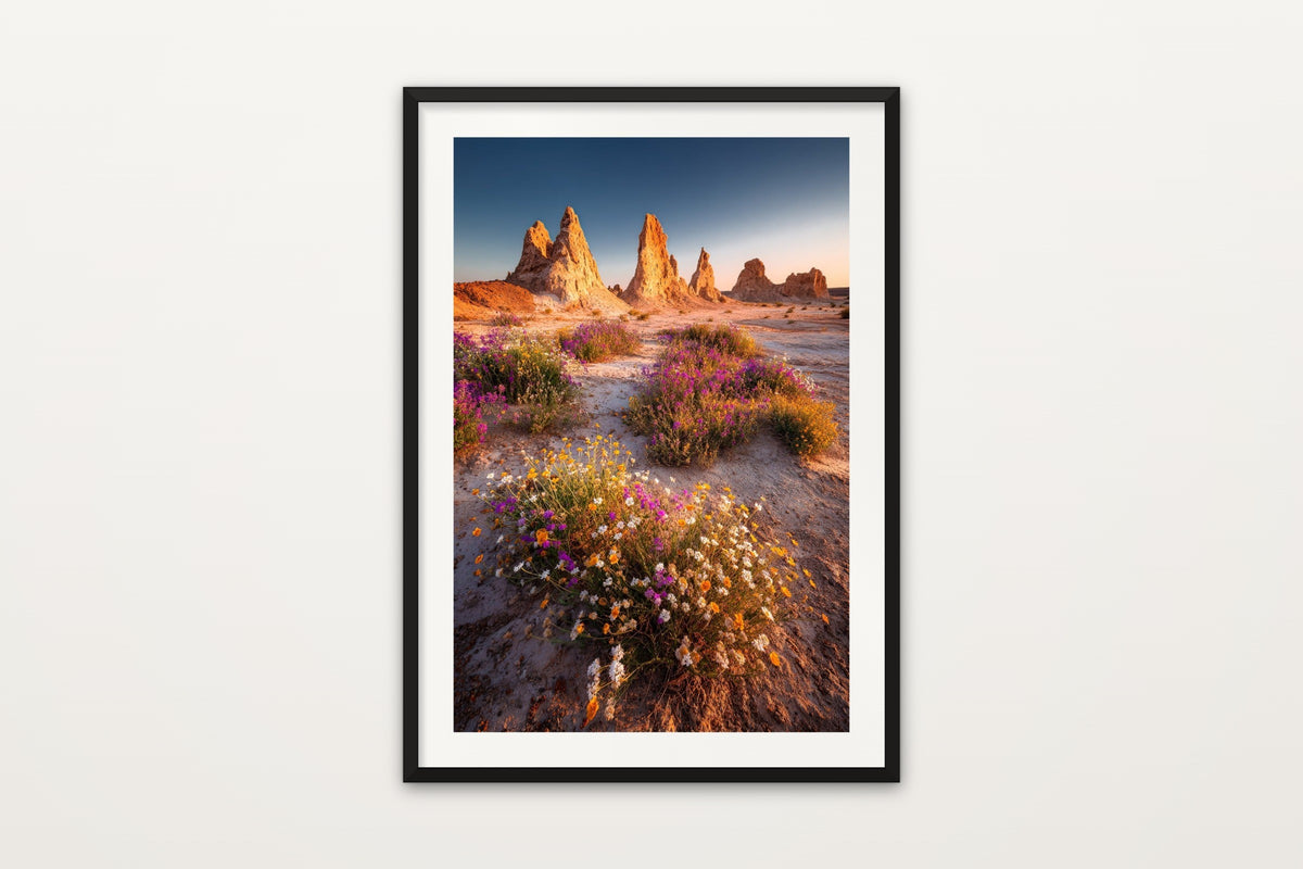 Trona Super Bloom wall art print – A desert wildflower super bloom at the Trona Pinnacles, California