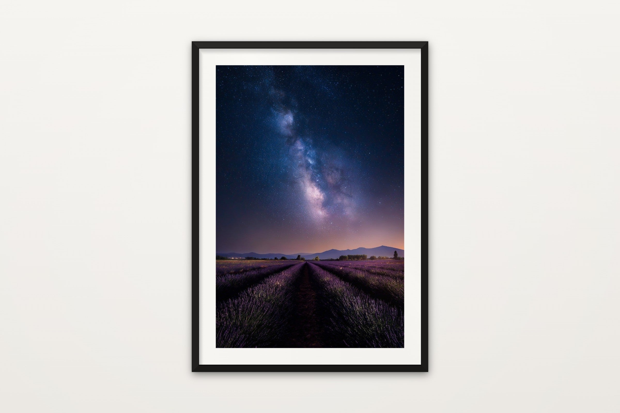 Lavender at Night