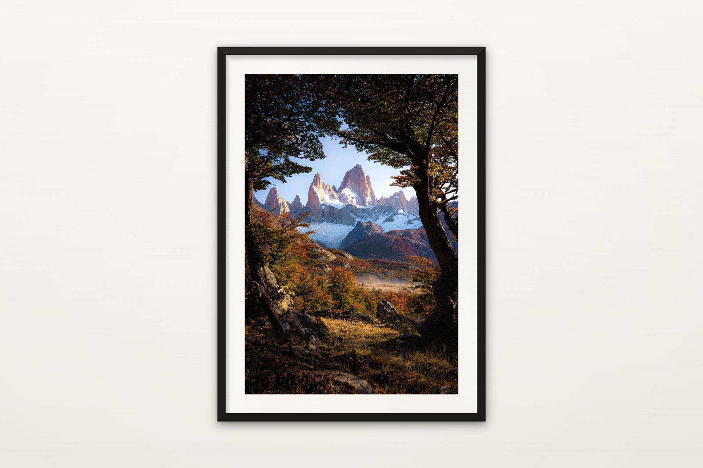 Fitz Roy Through Beech