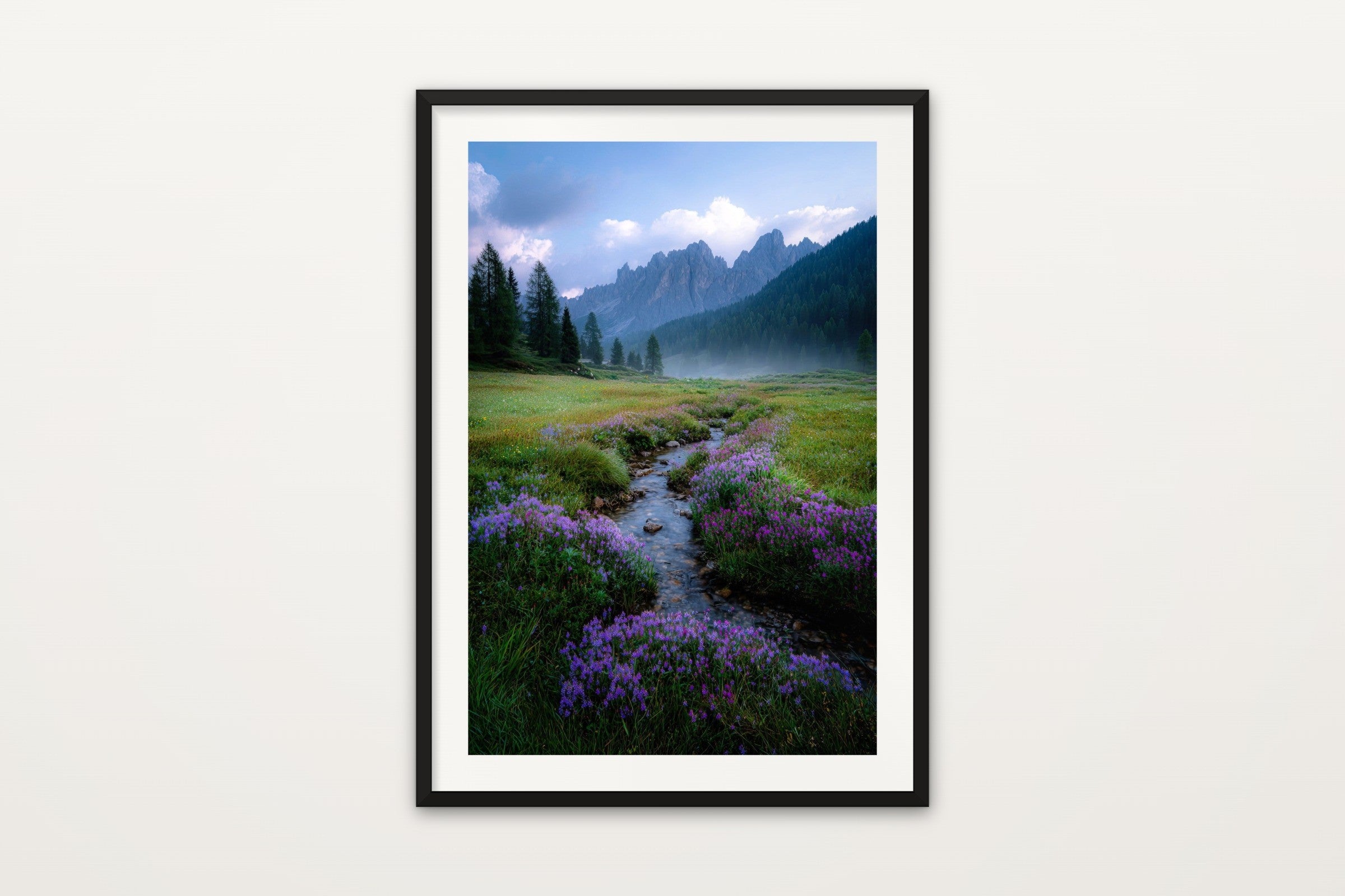 Val di Funes Wildflowers