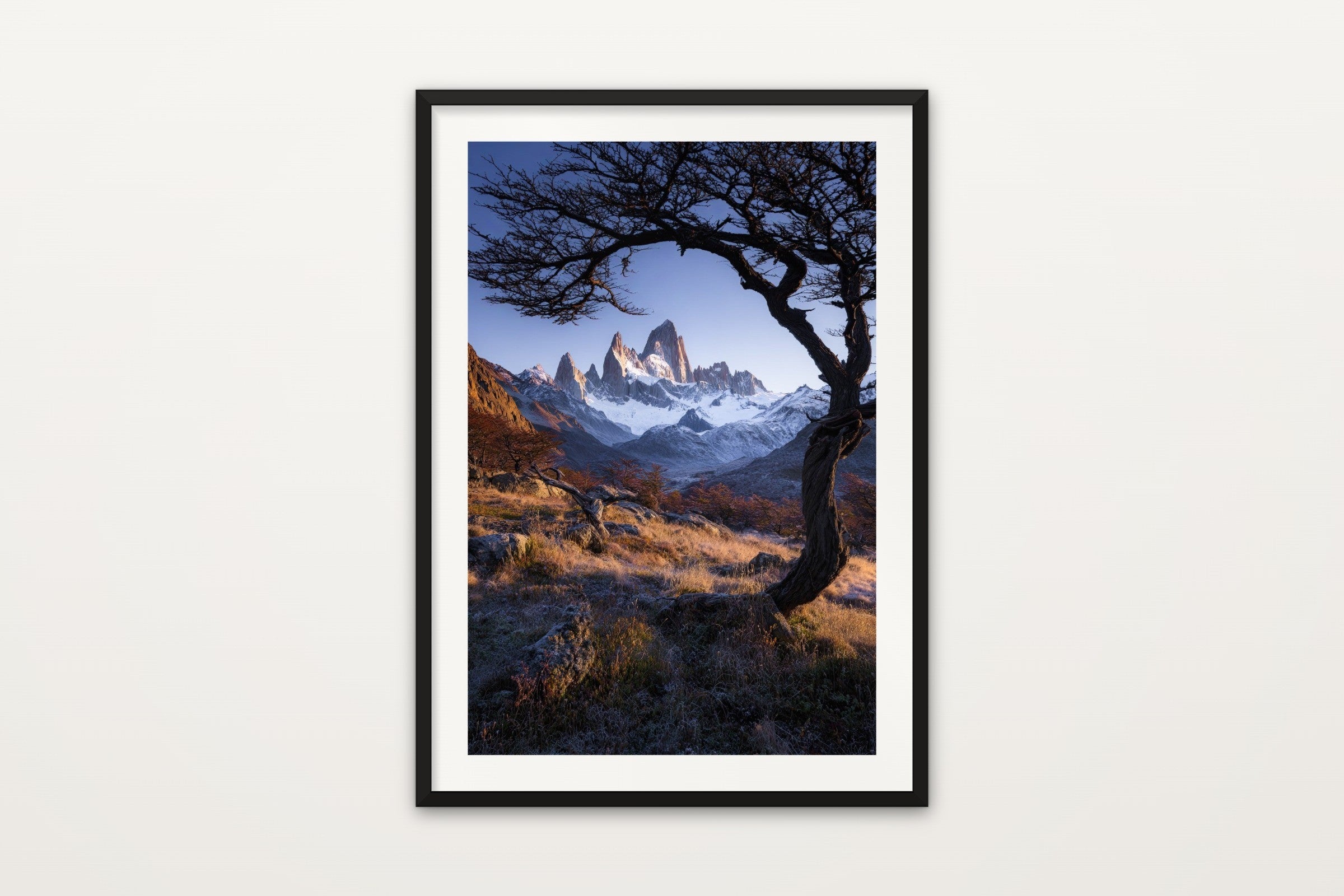 Lone Tree, Fitz Roy