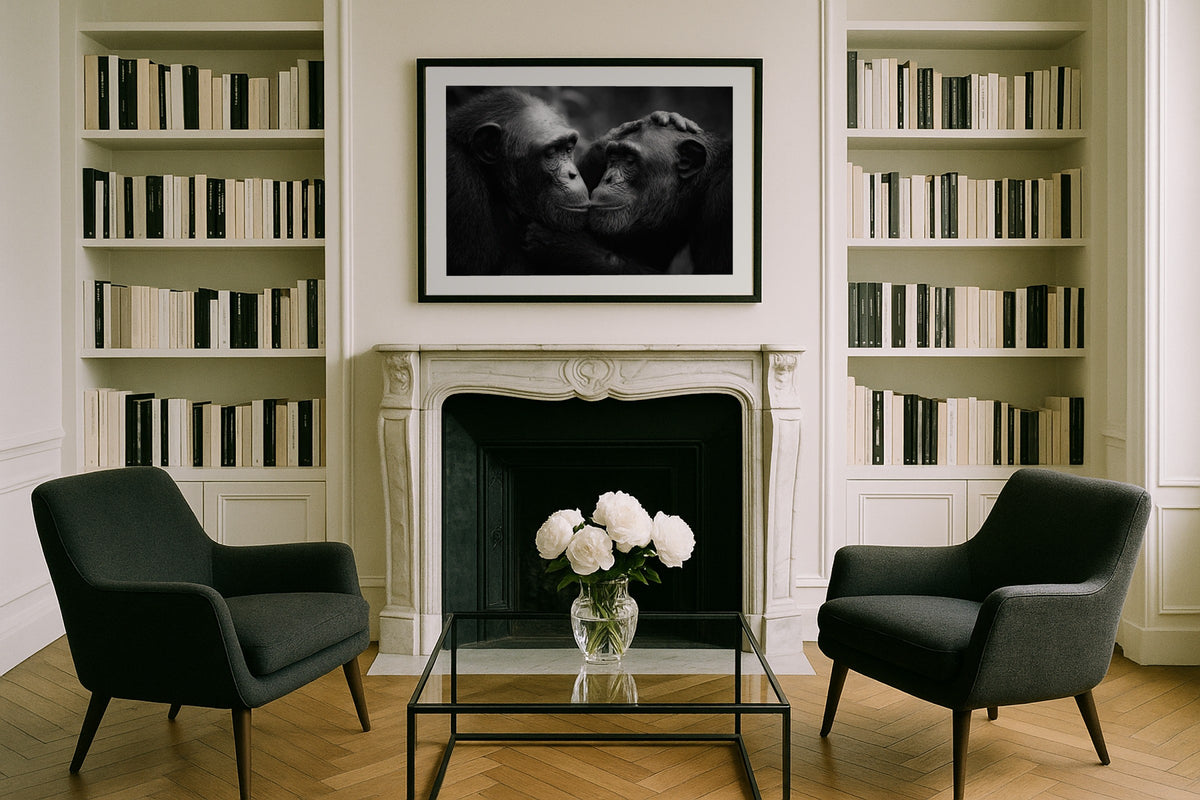 Chimpanzee Portrait wall art print, framed with a white border, in a white library fireplace