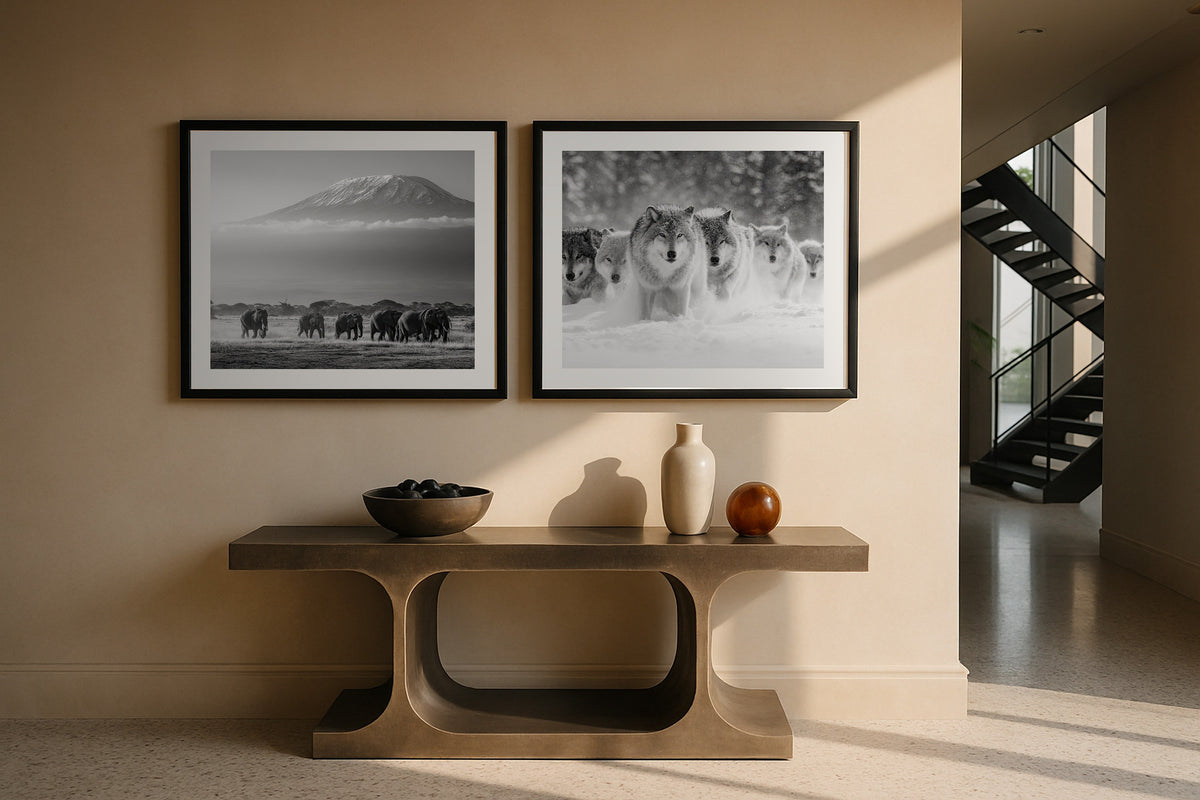 Pair of black and white wildlife prints in a hallway: Elephants Below Kilimanjaro and Wolf Pack