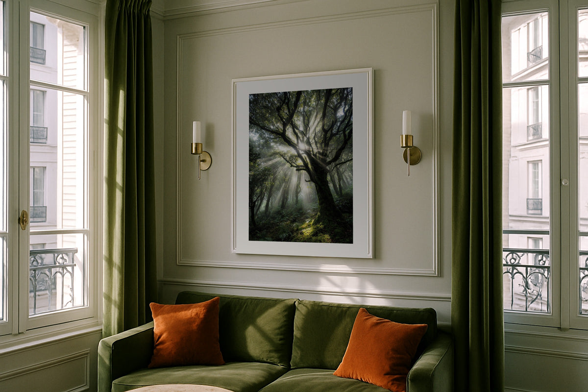 Forest Sunbeam wall art print, framed with a white border, in a Paris green sofa sconces