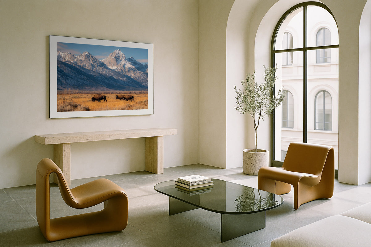 Bison Below the Tetons wall art print, framed with a white border, in a arched room sculptural chairs