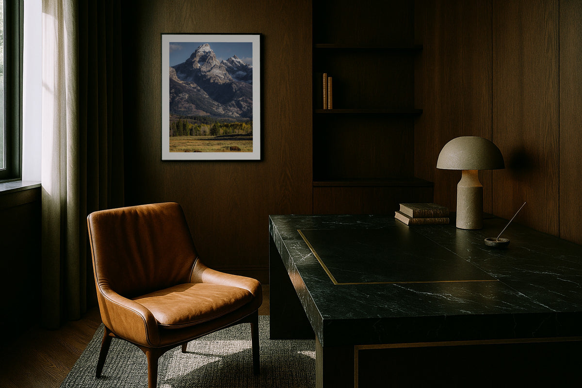 Lone Bison, Grand Teton wall art print, framed with a white border, in a cream sofa fiddle leaf