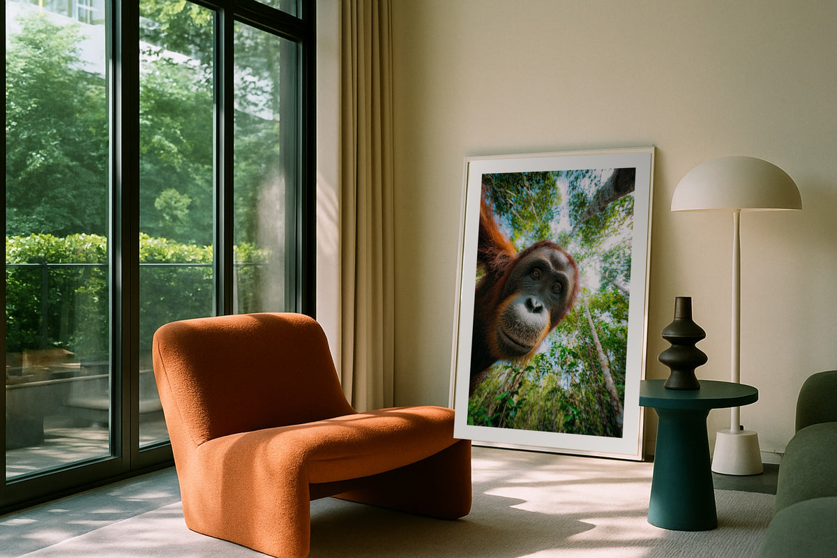 Orangutan III wall art print, framed with a white border, in a leaning garden balcony