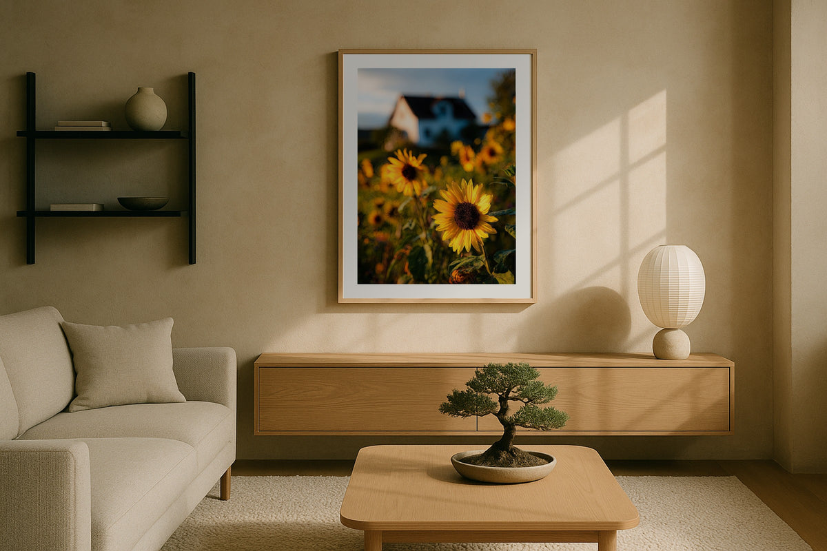 Sunflower Field wall art print, framed with a white border, in a Paris panelled office
